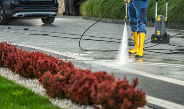 Best Sidewalk Pressure Washing  in South Dennis, NJ